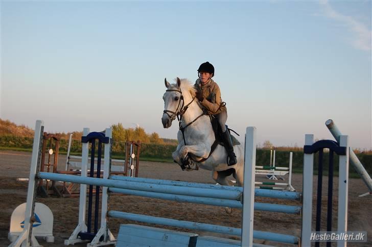 DSP STAR {b-pony} - Igen 2. gang vi springer :) billede 16