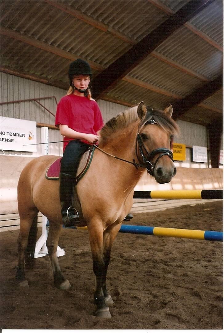 Anden særlig race Musse - Musse & jeg i 1998 billede 15