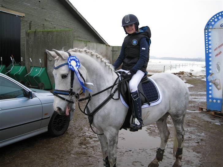 Anden særlig race Silver SOLGT! - Mig og min Super Sild, efter vores første MB, hvor vi fik en 2. plads <3 foto: Min mor billede 13