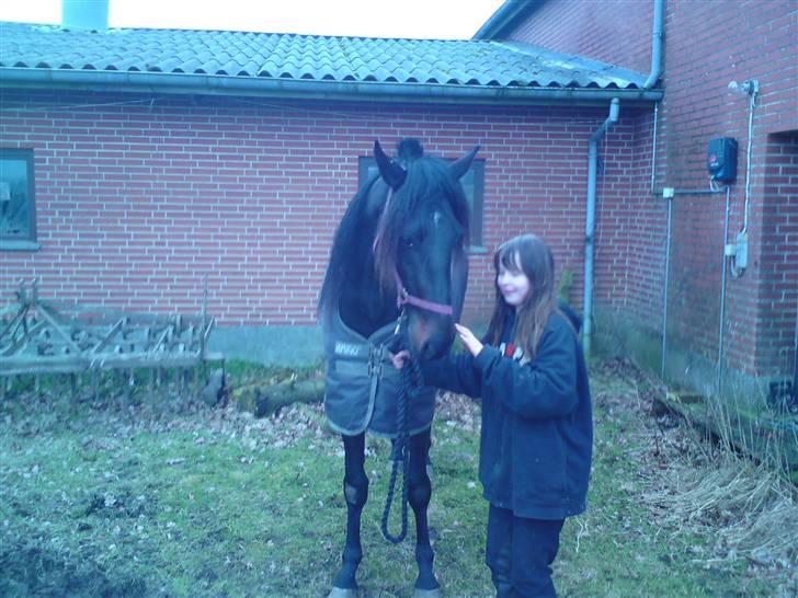 Traver over the gate billede 3