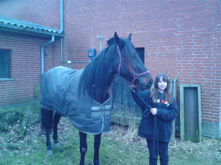 Traver over the gate billede 4