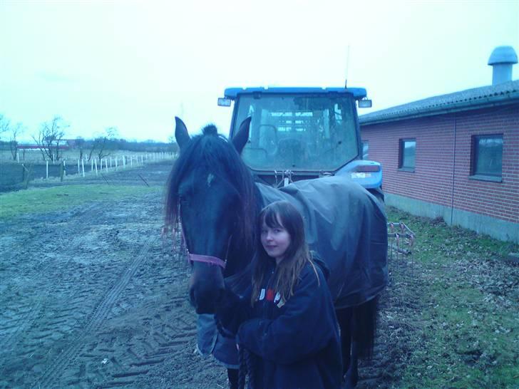 Traver over the gate billede 5