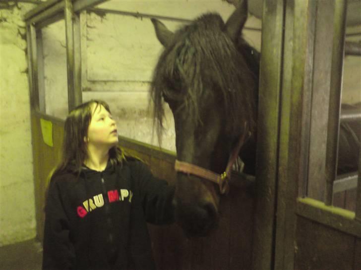 Traver over the gate billede 6