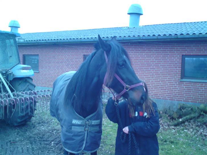 Traver over the gate billede 8