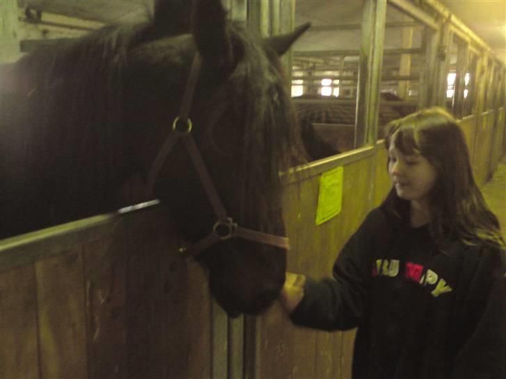 Traver over the gate billede 9