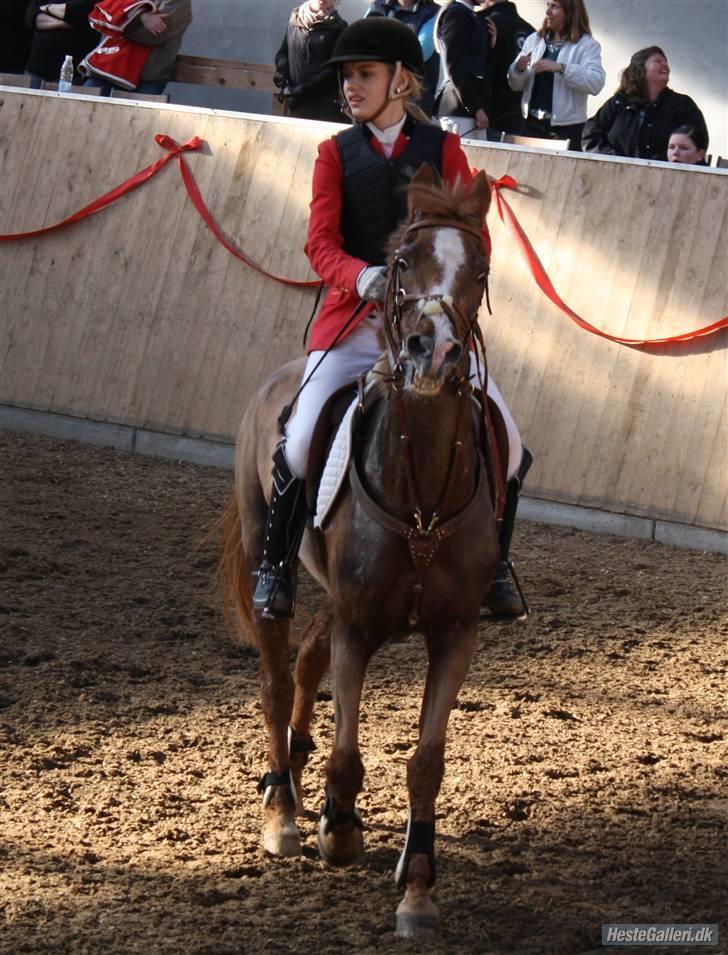 Anden særlig race Vestergårds La Chanta  billede 4