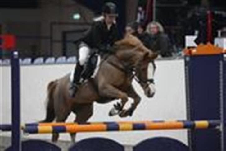 DSP Tai Chiquita - SOLGT:'(<3 - | LA i Aalborg | Foto: Ridehesten billede 4