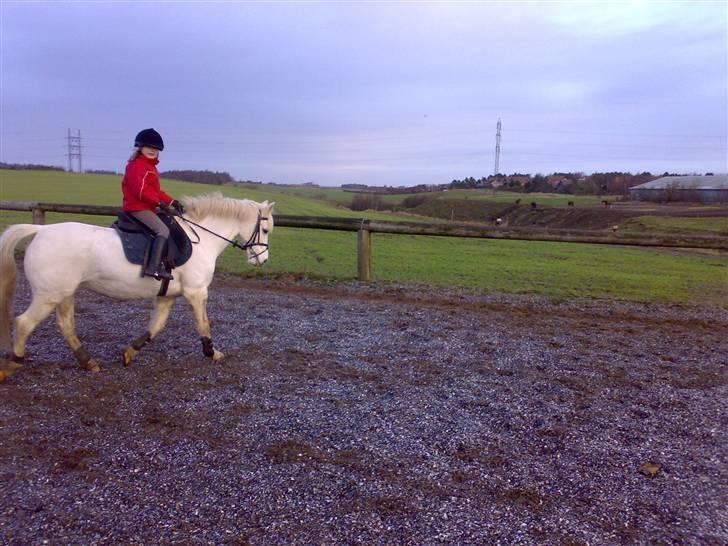 Anden særlig race Beauty - (solgt 2010) - Frederikke på Beauty billede 6