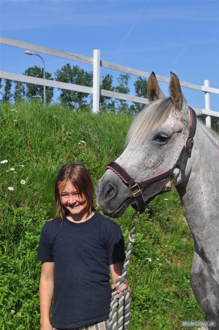 Anden særlig race Moonlight - Moonlight<3 billedet er taget af nanna kragh billede 20