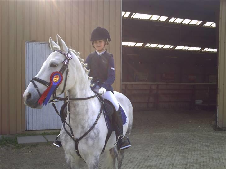 Anden særlig race Silver SOLGT! - Mit første stævne på Silden...foto: Nanna billede 16