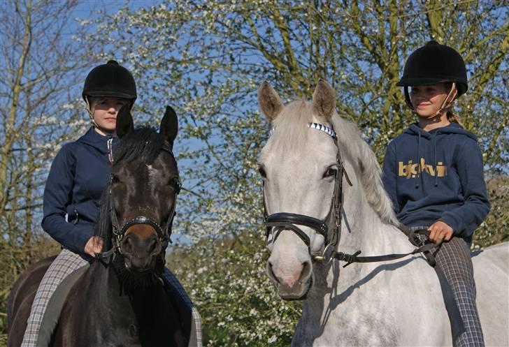 Anden særlig race Silver SOLGT! - Er vi ikke bare fine?? foto: Tia billede 18