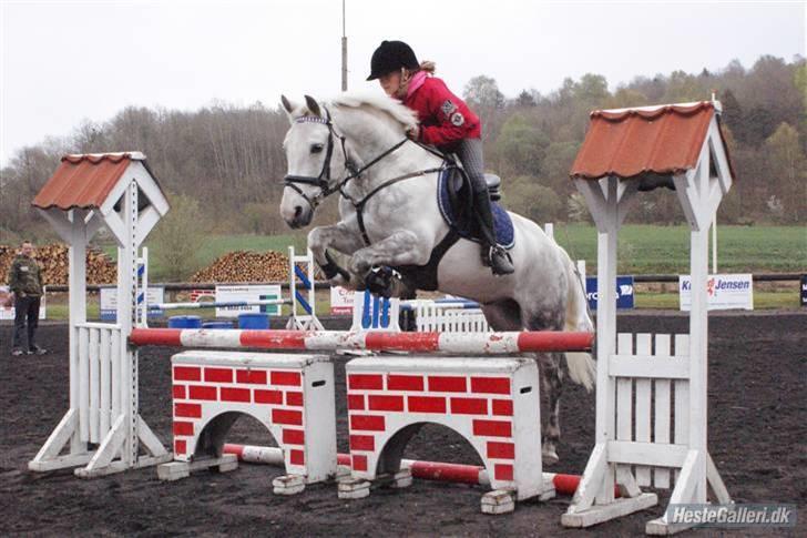 Anden særlig race Silver SOLGT! - Silver superstar...foto: Tia billede 19