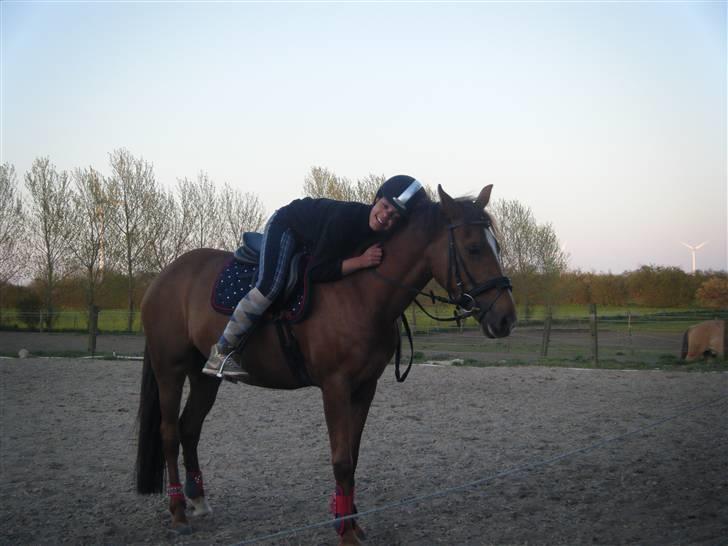 New Forest Nielands Mariebelle - elsker dig min skatte pige billede 5