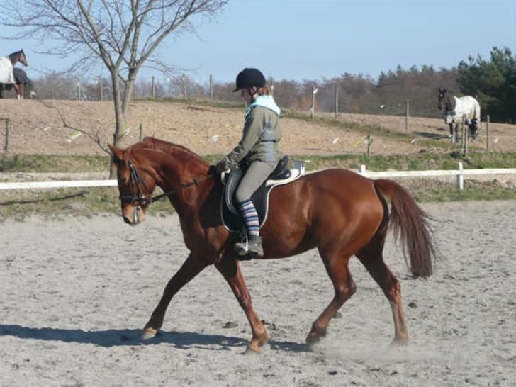 Anden særlig race Tara - Første gang jeg red hende <3 billede 2