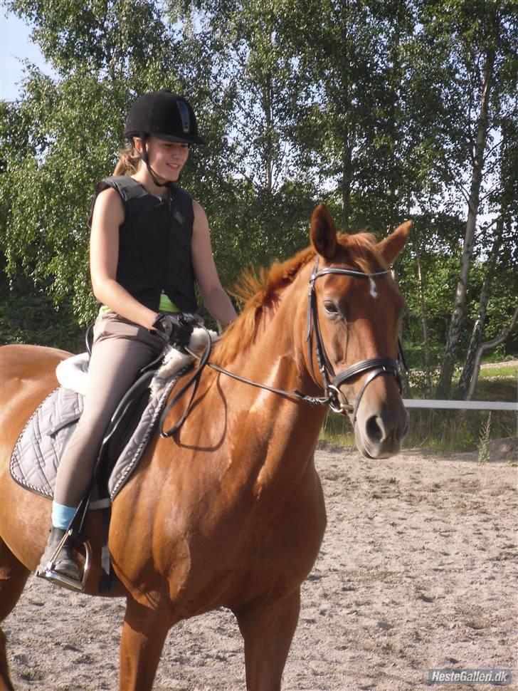 Anden særlig race Tara - Tager lige en lille slapper billede 3