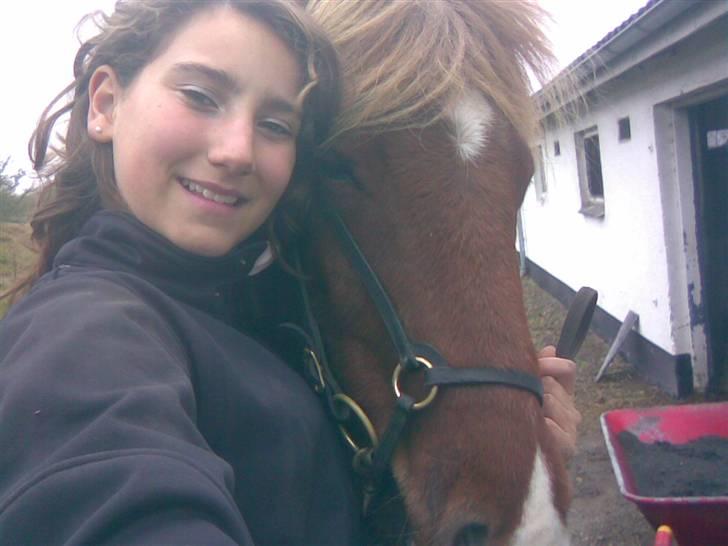 Islænder Sómi Fra Aaskoven (solgt) - Mig og somi, efter tur i skoven?D billede 12