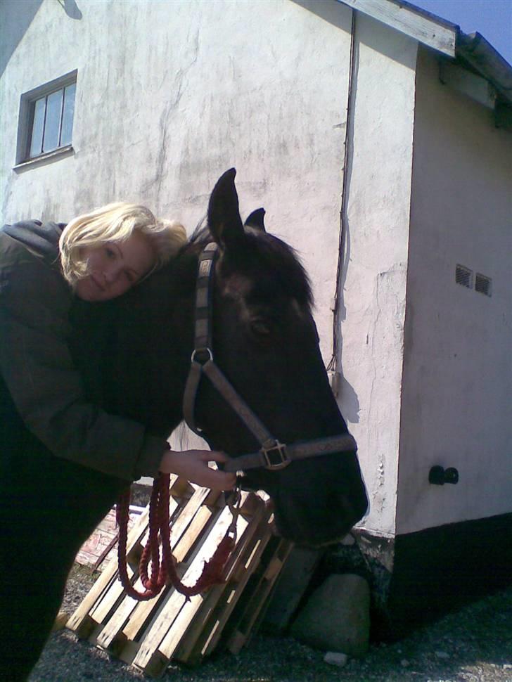 Anden særlig race Piquet billede 9