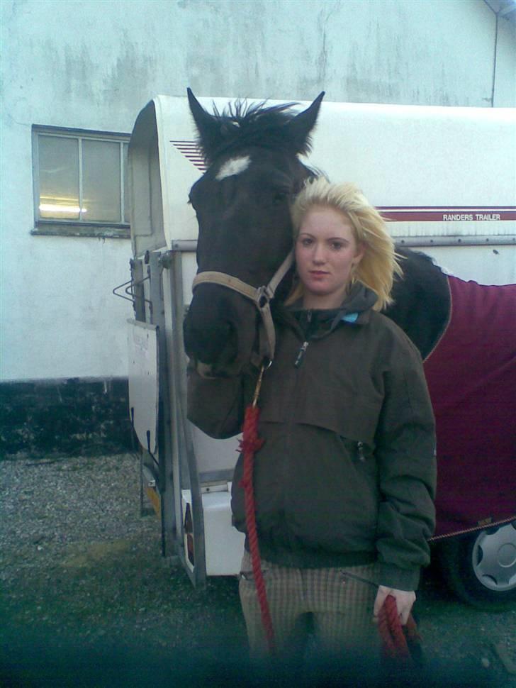 Oldenborg Osandt Hjortelund SOLGT:( billede 10