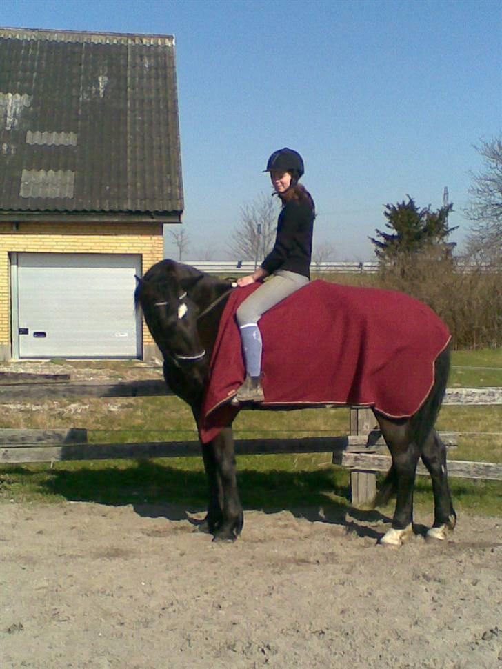 Oldenborg Osandt Hjortelund SOLGT:( billede 11