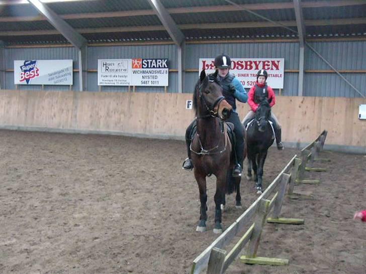 New Forest Romeo’s Eldorado - hvem der ?? XD billede 9