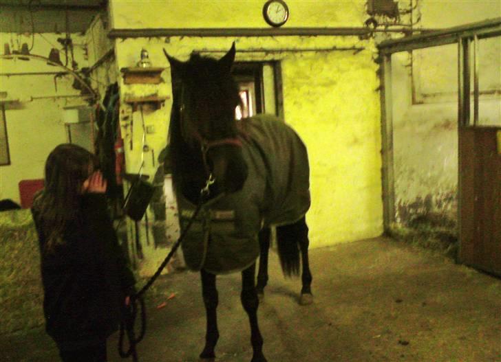 Traver over the gate billede 10