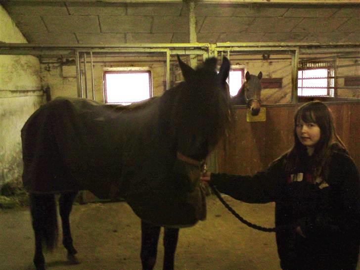 Traver over the gate billede 11