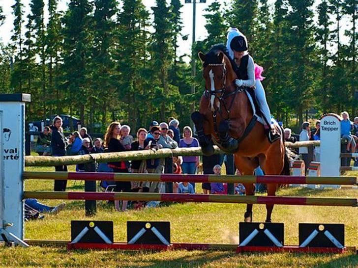 Dansk Varmblod Holmgårds Quatro - SOLGT! - Quatro og jeg til kostumespringning ved Skt. Hans på Hosk 09 :) Foto: Ac. billede 12
