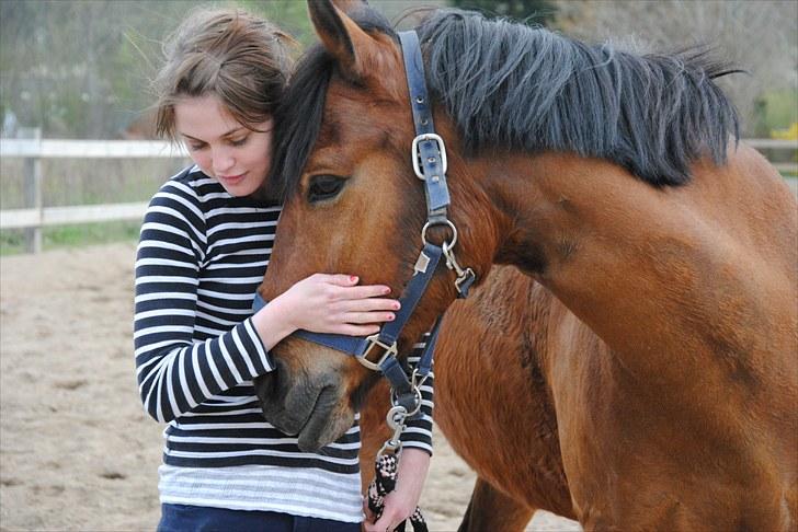 New Forest Macoy - 09. Du betyder mere end ord for mig, du er altid glad når jeg kommer. Du er en fantastisk pony Macoy, det skal du vide, jeg elsker dig <3 foto Karina billede 9