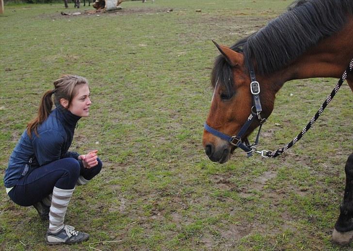 New Forest Macoy - 14. Vi stoler på hinanden, og har respekteret hinanden. billede 14