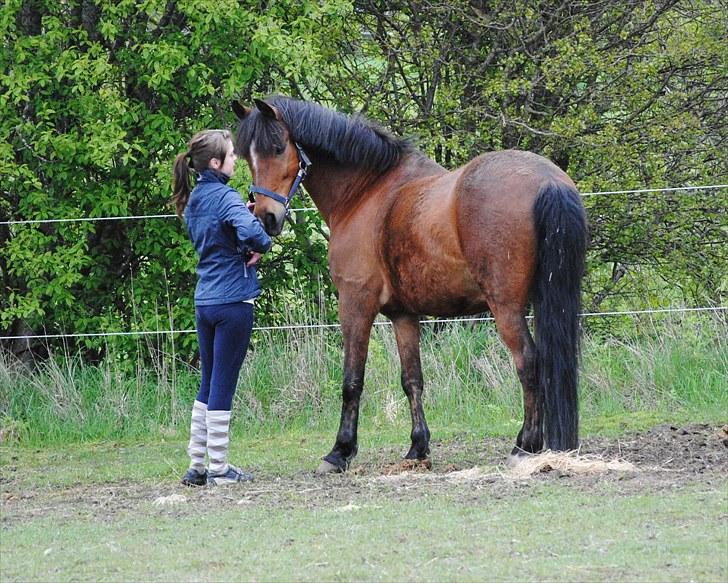 New Forest Macoy - 18. NYT jeg elsker også dig, ven du betyder virkelig utrolig meget for mig. bare hver gang jeg ser en anden ride på dig, midsunder jeg dem virkelig, fordi jeg ville virkelig ønske det var mig der var den heldige person, som kunne få en fantastisk tur billede 18