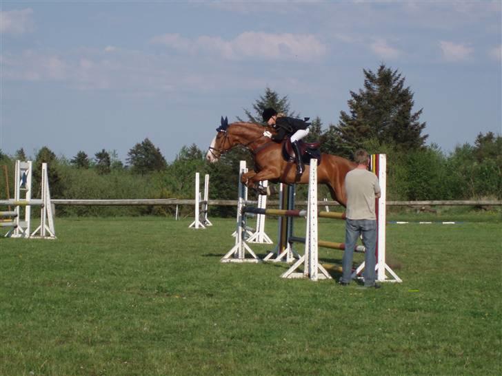 Frederiksborg Chaca Kronborg SOLGT :( billede 15