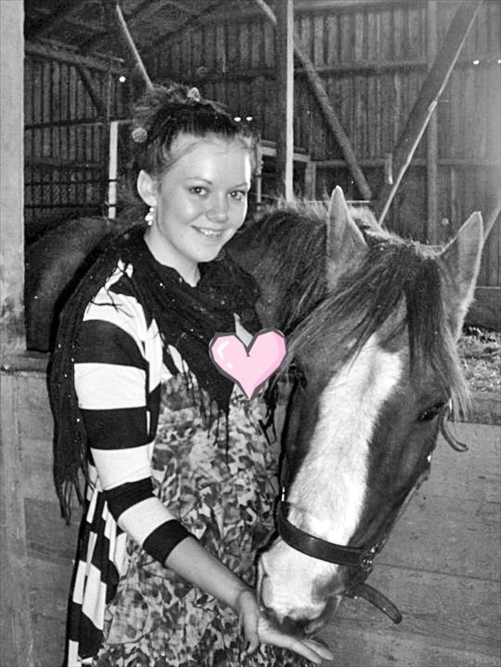 Hollandsk Sportspony Rico<3  - Der er bare et særligt bånd<3 billede 1