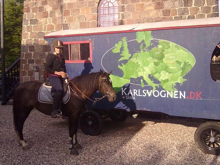 New Forest Bjernagergårds Mischa - Mischa og mig på tur hjemme ved mig billede 19