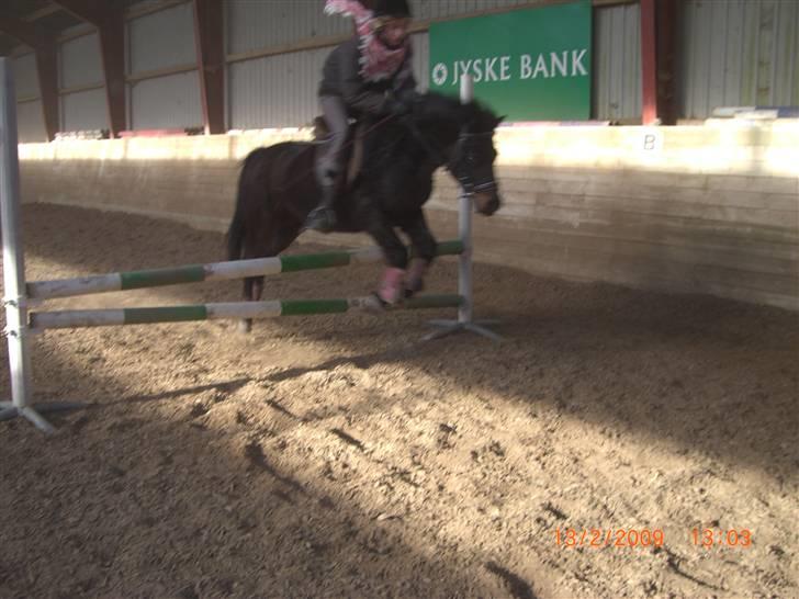 Anden særlig race Lurifax<3 solgt:( billede 13