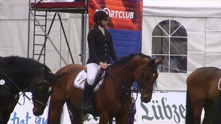 Hannoveraner - Gina Lady - nr. 2 til internatoíonalt stævne i tyskland. billede 7