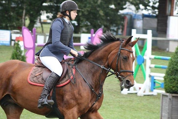 Hannoveraner - Gina Lady - L/M Championat 2010 (120cm) billede 9