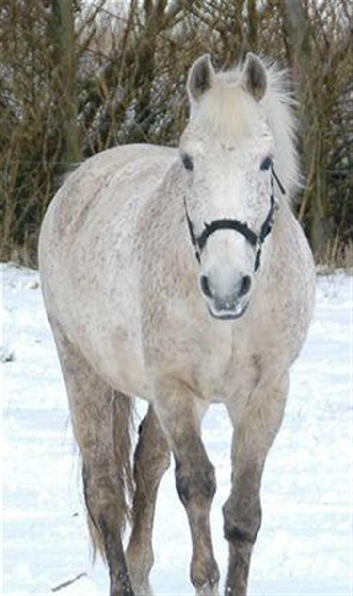 Anden særlig race Micky <3 - JEG ELSKER DIG! <3 billede 1