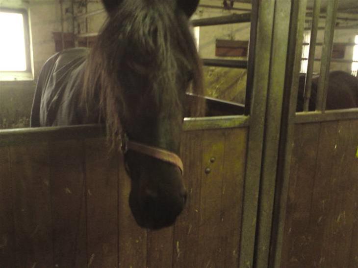 {{currentPhoto.altText}} billede {{currentPhoto.number}}