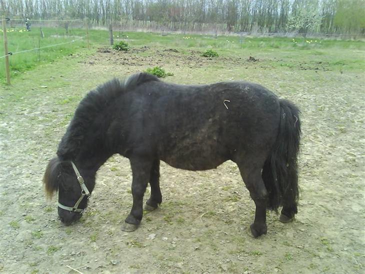 {{currentPhoto.altText}} billede {{currentPhoto.number}}