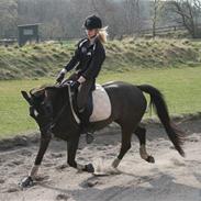 Anden særlig race | Stella | x-part | R.I.P