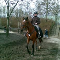 Holstener Castello (R.I.P.)