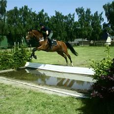 Holstener Castello (R.I.P.)