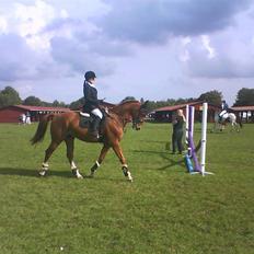 Frederiksborg Kentucky Charlie