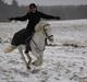 Anden særlig race Sir Camelot