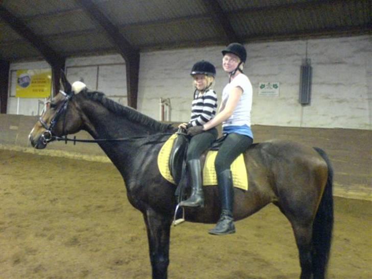 Dansk Varmblod Primadonna  - Karoline & jeg på Primadonna :D <3 billede 3