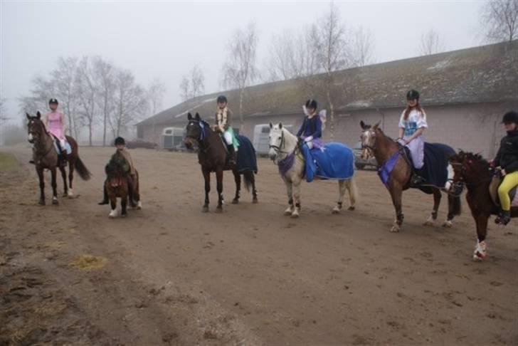 Dansk Varmblod Primadonna  - Prima´en og jeg længst til venstre. Fastelavnsstævne HRR 2009. billede 4