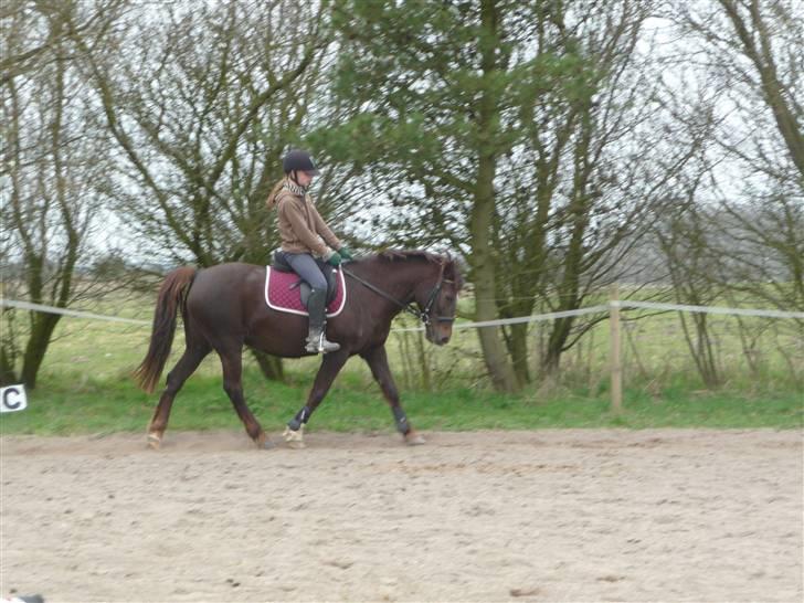 Anden særlig race Miss trixie bell  -  Mig og Trixie:o) <3 billede 10