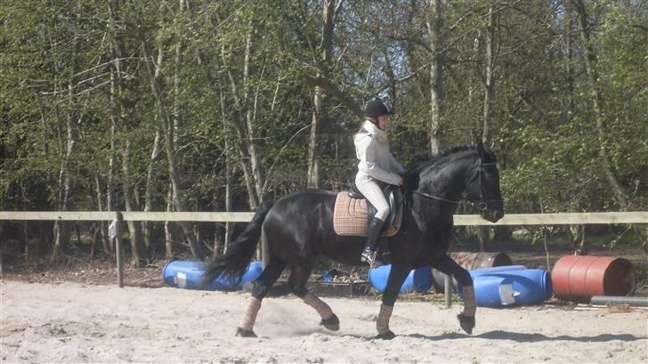 Frieser Oege af Birkelyst - Lækre Oege og jeg den 25/4-09 <3  billede 14