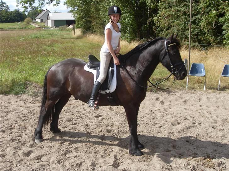 Frieser Oege af Birkelyst - Under træning den 11 sep 2009, jamen altså, når man skal, så skal man altså ..  <3  billede 17