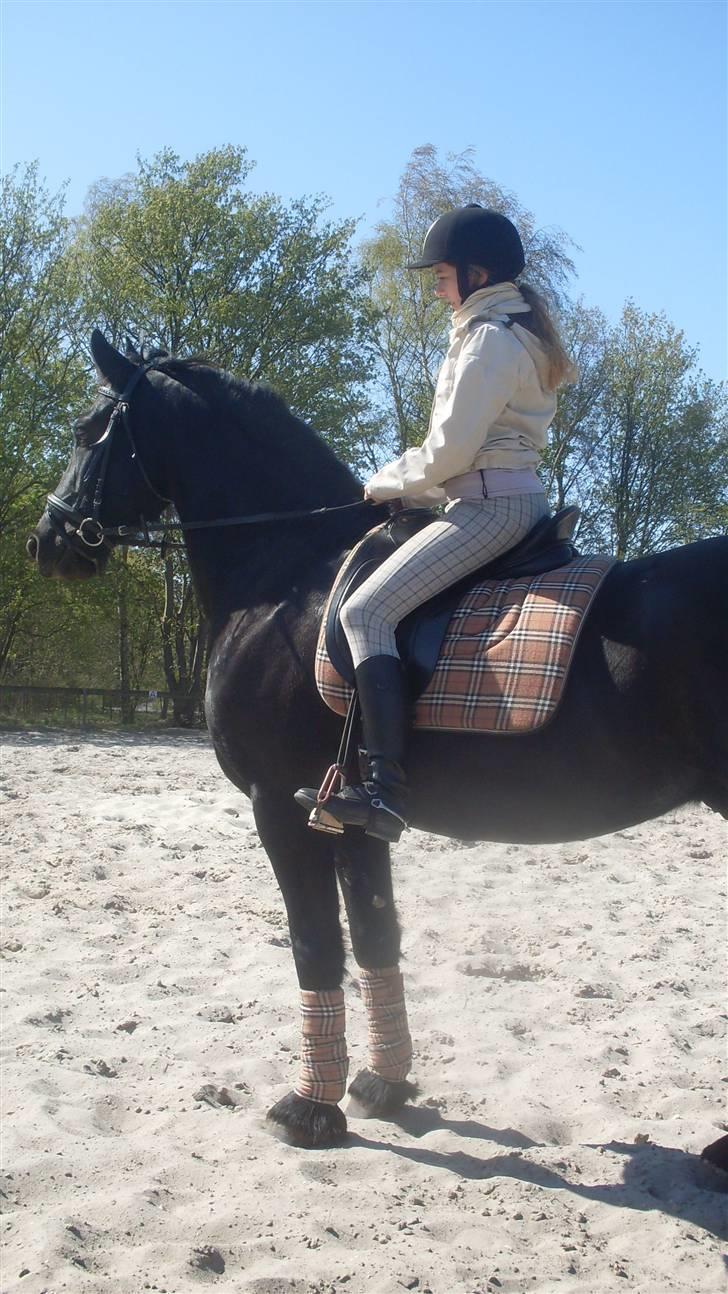 Frieser Oege af Birkelyst - <3 Lækre Oege og jeg den 25/4-09 <3  billede 20